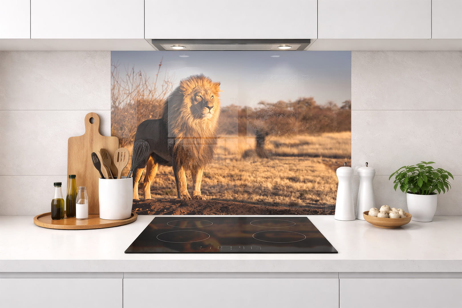 Spritzschutz – stolzer Löwe