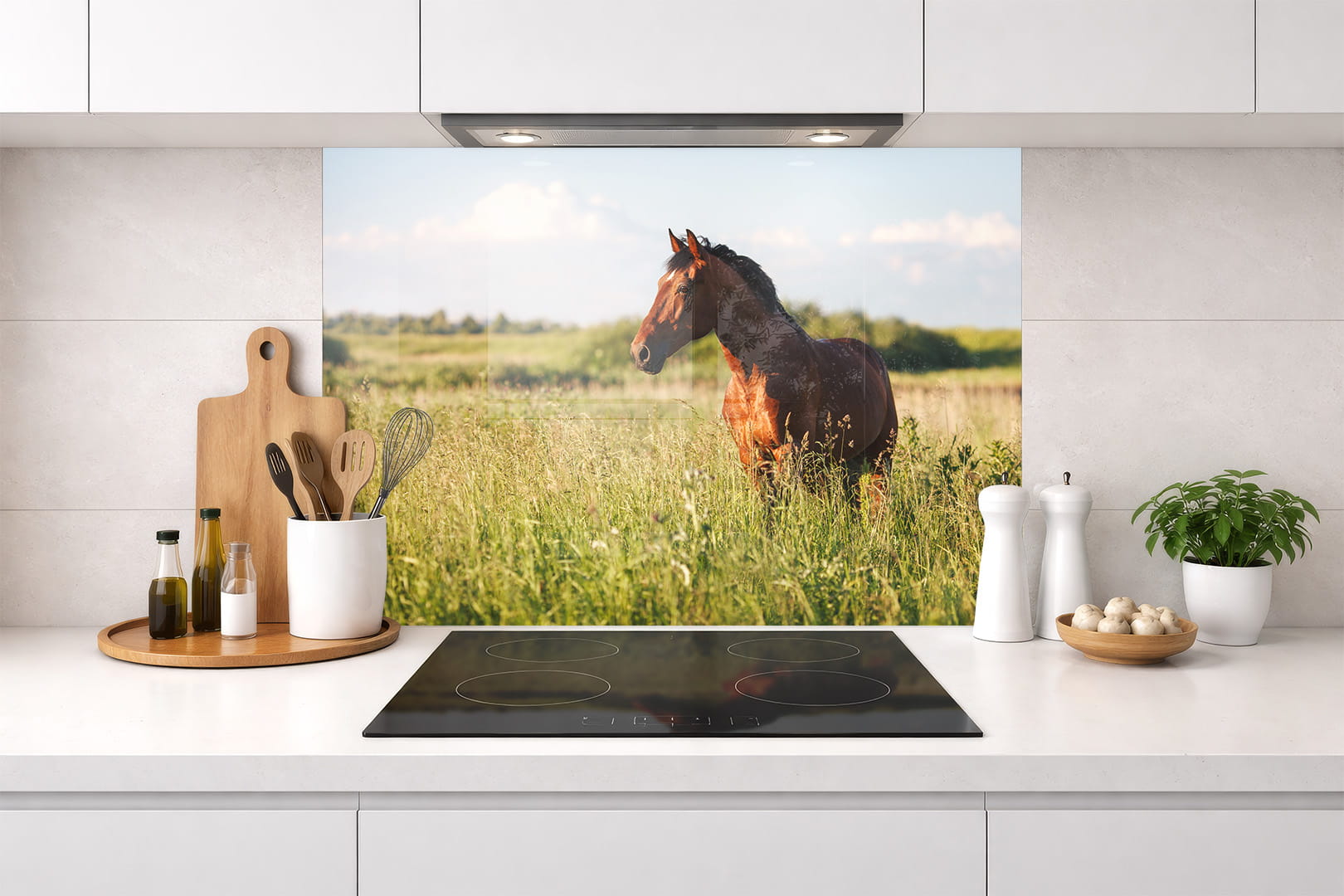 Spritzschutz – Pferd im hohen Gras