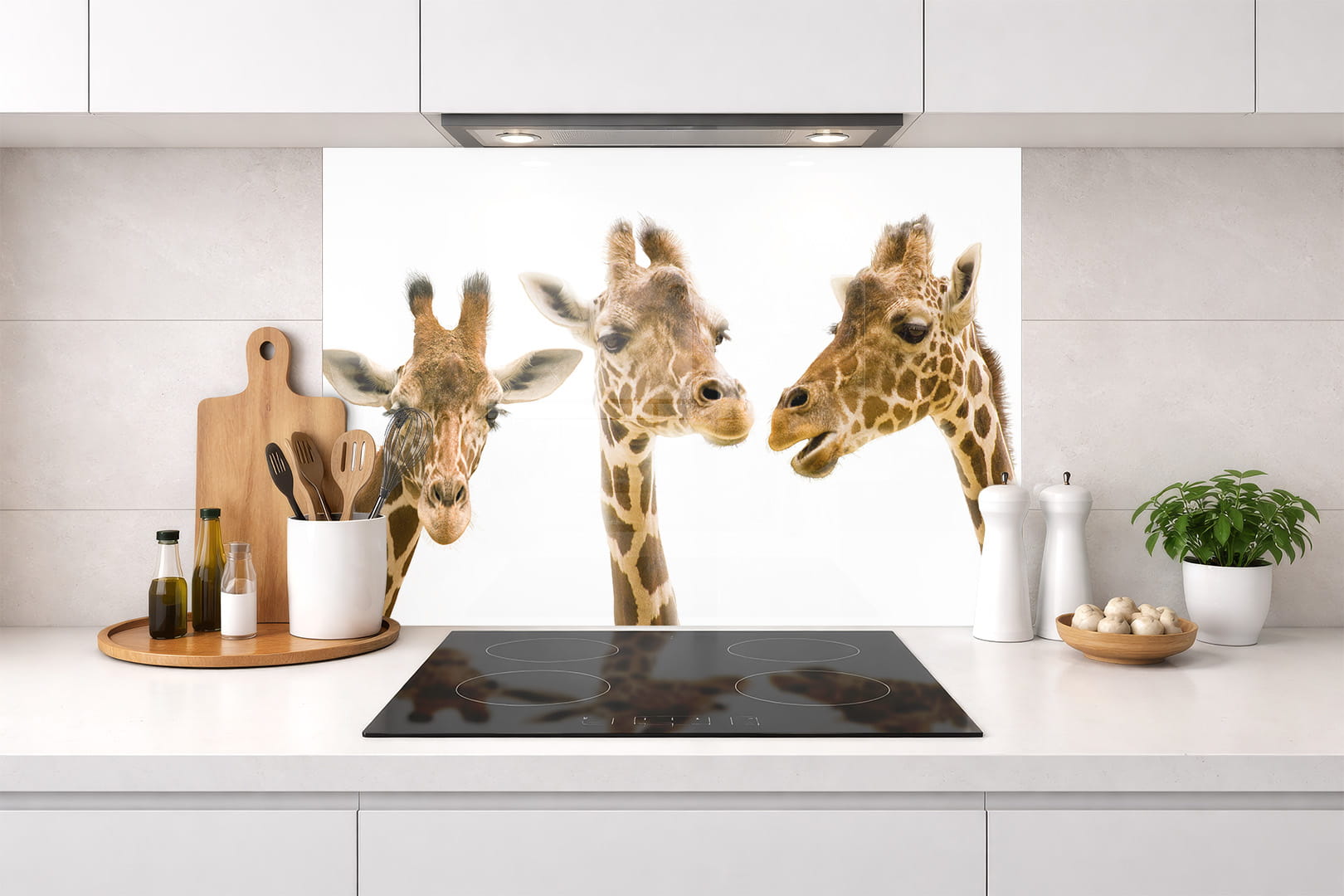 Spritzschutz – Giraffen