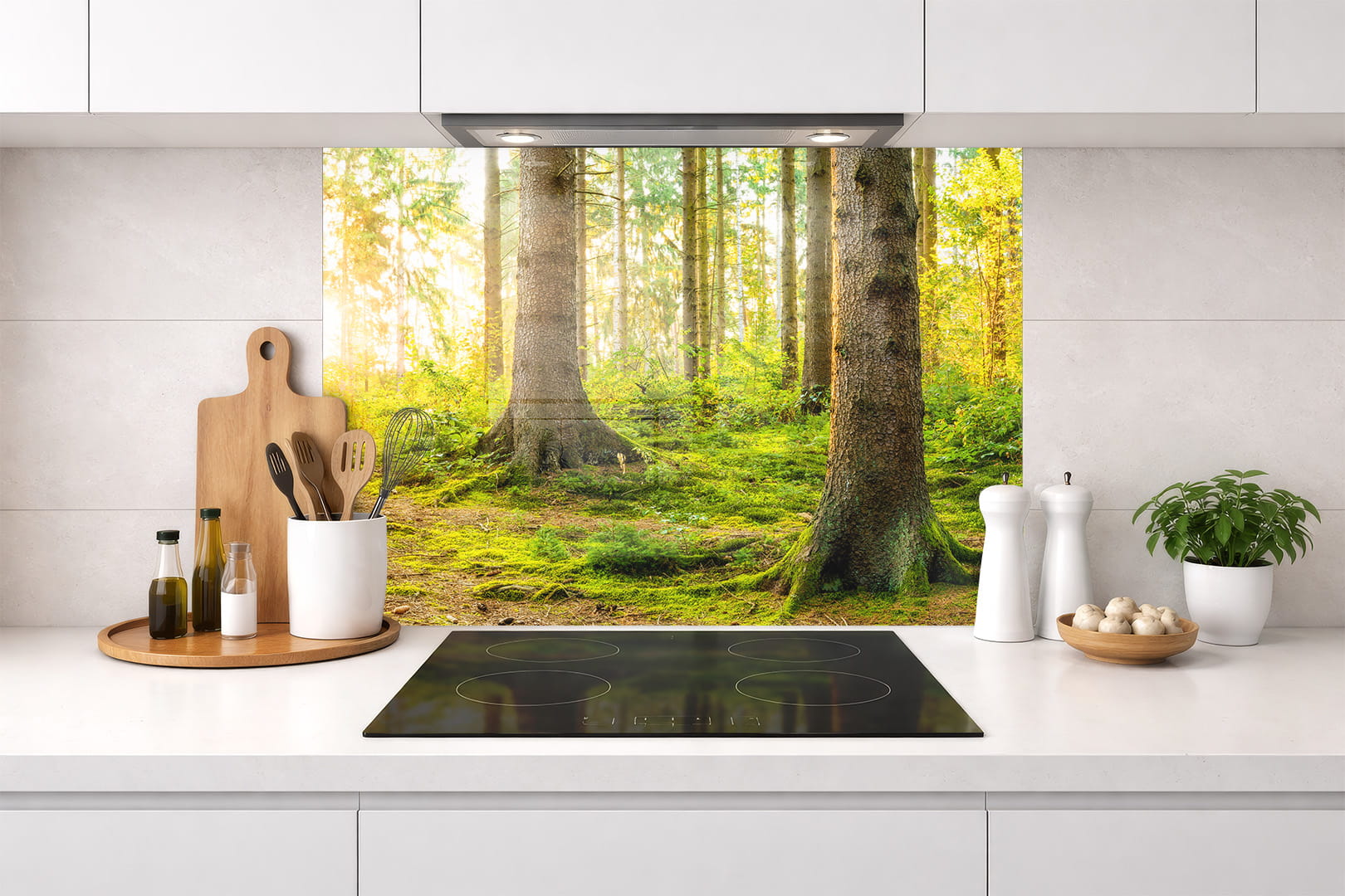 Spritzschutz – Waldlicht