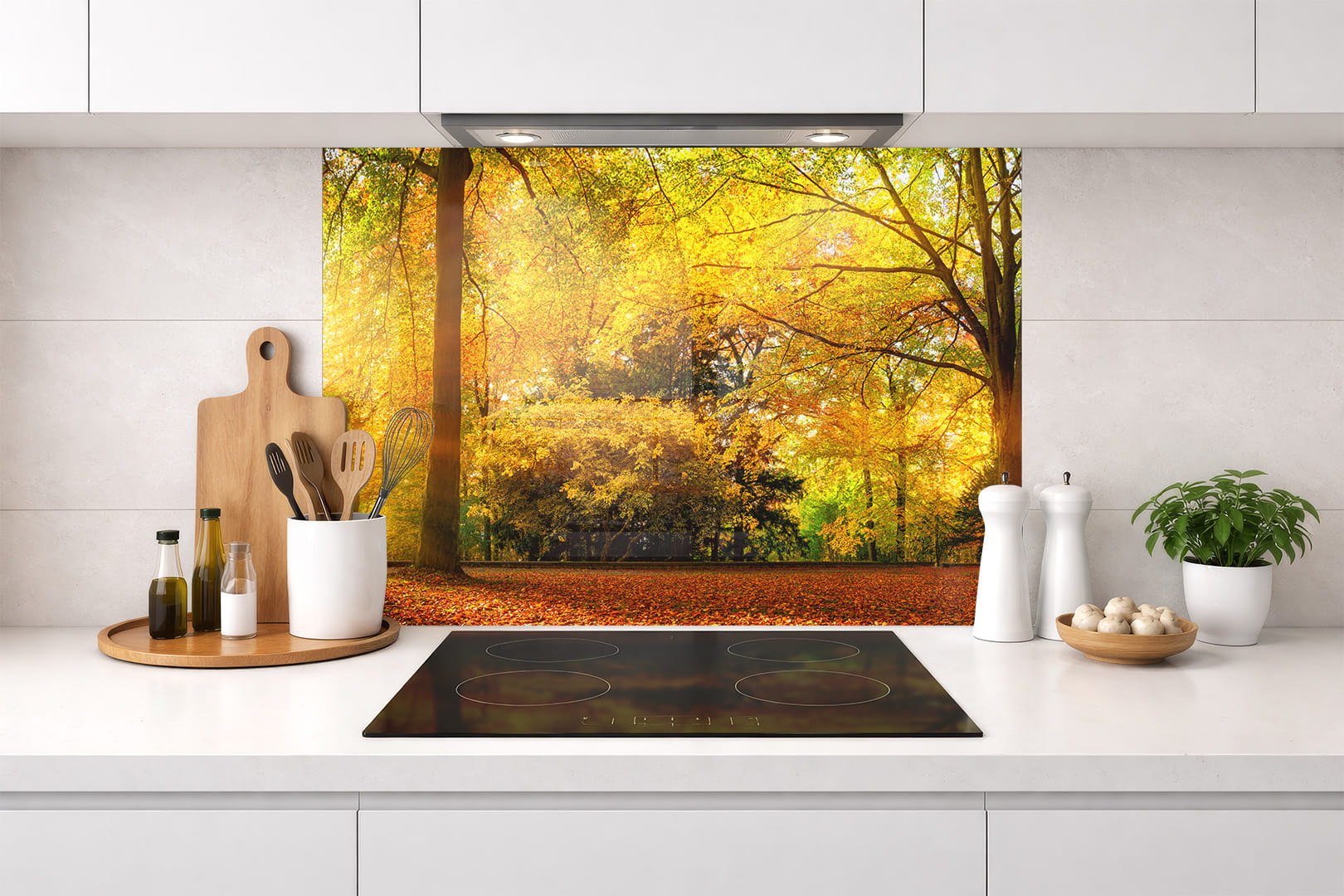 Spritzschutz – goldener Herbstwald