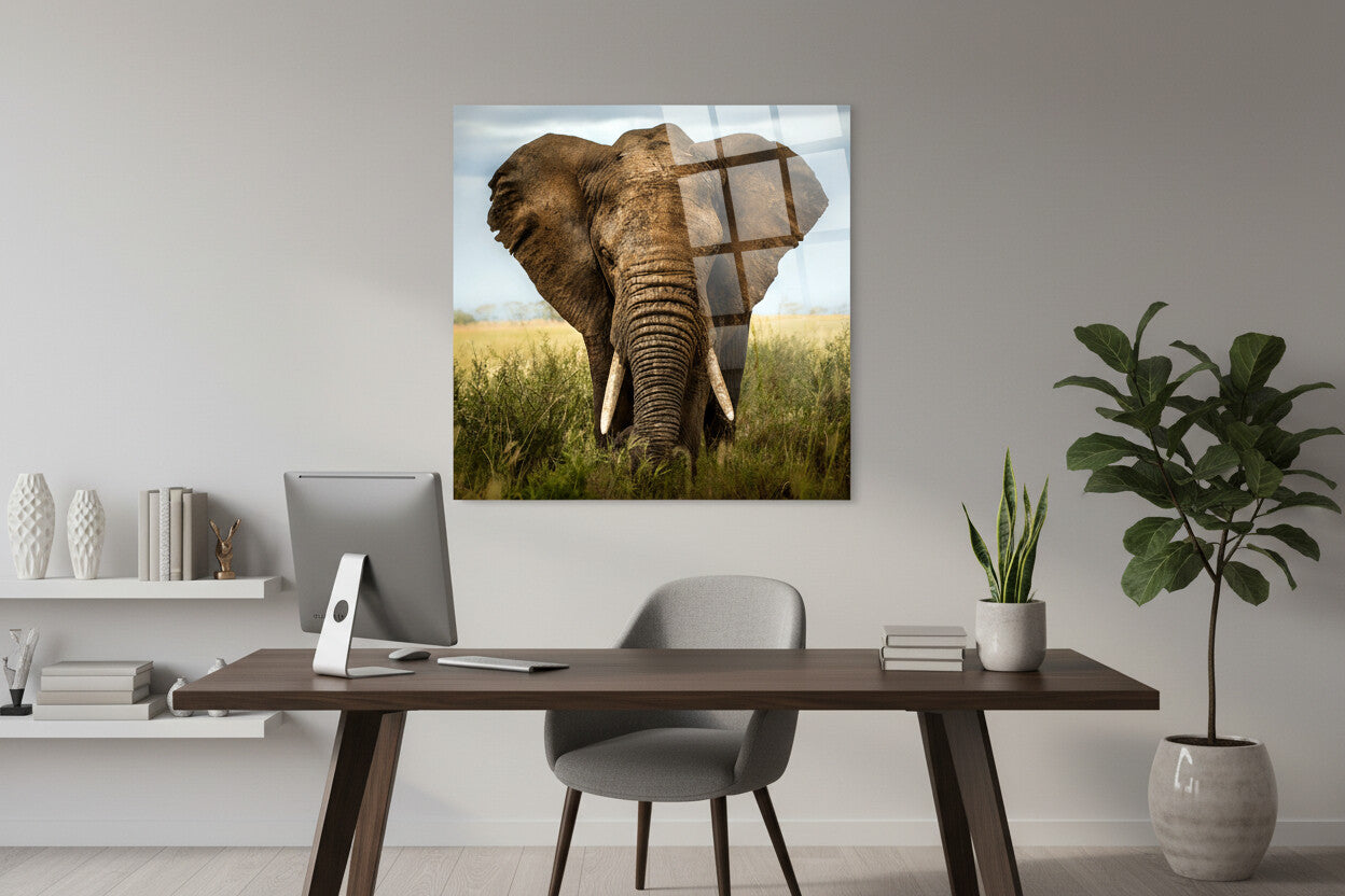Glasbild Elefant