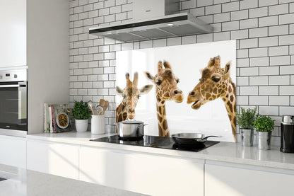 Spritzschutz – Giraffen