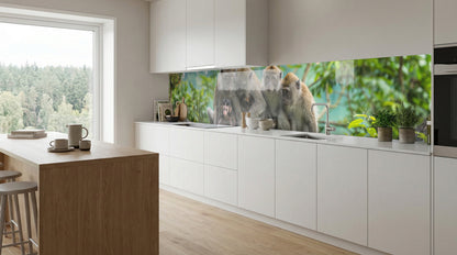 Moderne weiße Küche mit der „Küchenrückwand – Drei Affen im Dschungel“ von glasposter.com, Fenster links.
