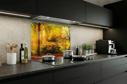 Spritzschutz – goldener Herbstwald