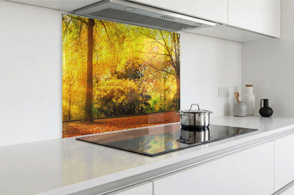 Spritzschutz – goldener Herbstwald