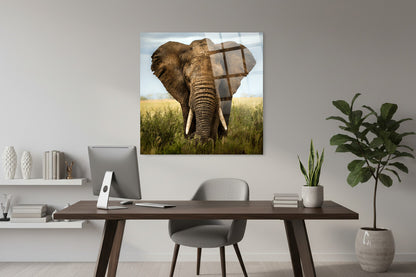 Glasbild Elefant