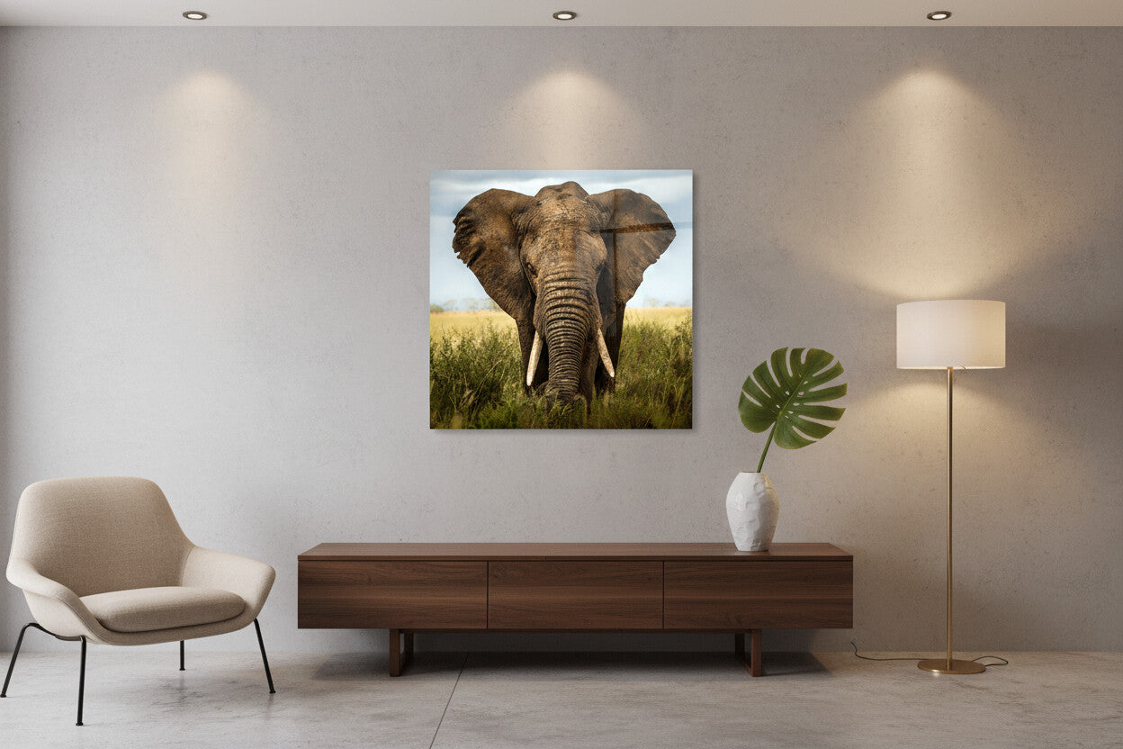 Glasbild Elefant