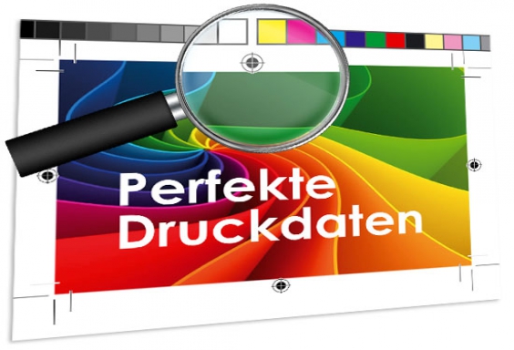 Profi-Datenchek "Plus"